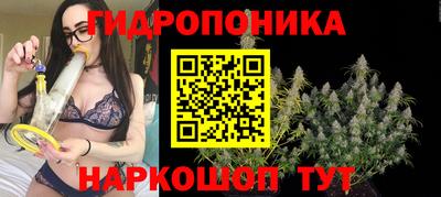 Альфа ПВП Ликино-Дулёво