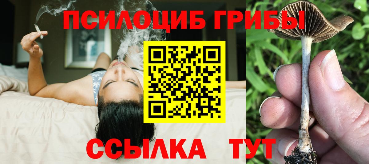 Янаул  Галлюциногенные грибы ЛСД  Вход с VPN 